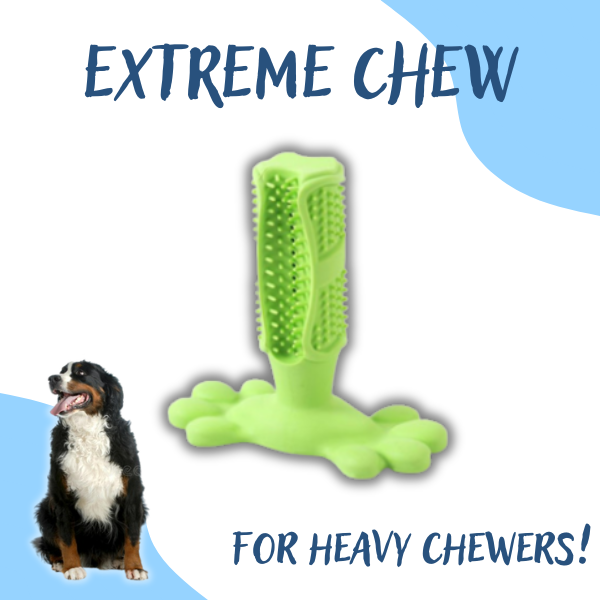 CactiKare™ - Dog Toothbrush