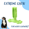 CactiKare™ - Dog Toothbrush